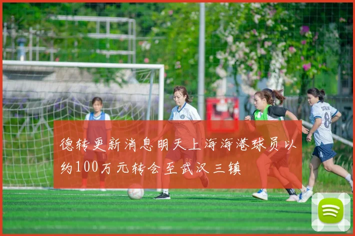 德转更新消息明天上海海港球员以约100万元转会至武汉三镇