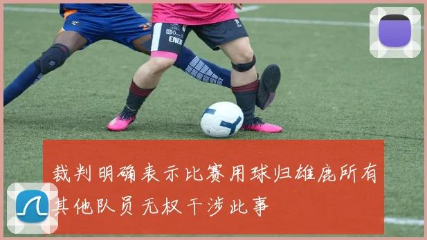 裁判明确表示比赛用球归雄鹿所有其他队员无权干涉此事