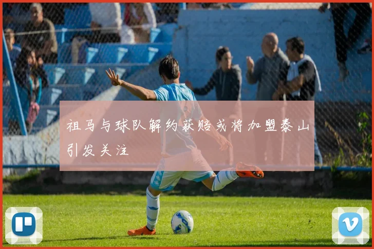 祖马与球队解约获赔或将加盟泰山引发关注