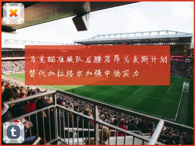 马竞瞄准狼队后腰若昂戈麦斯计划替代加拉格尔加强中场实力