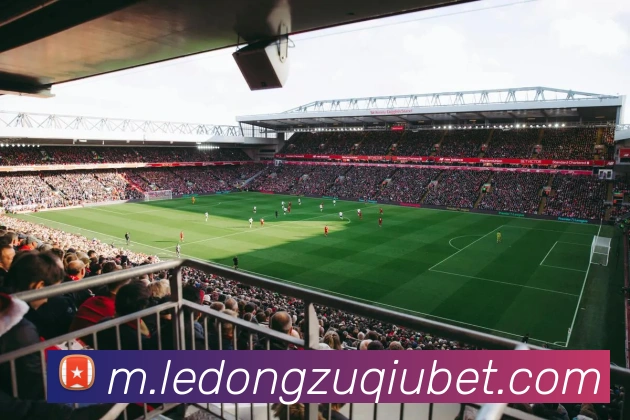 乐动体育服务体系