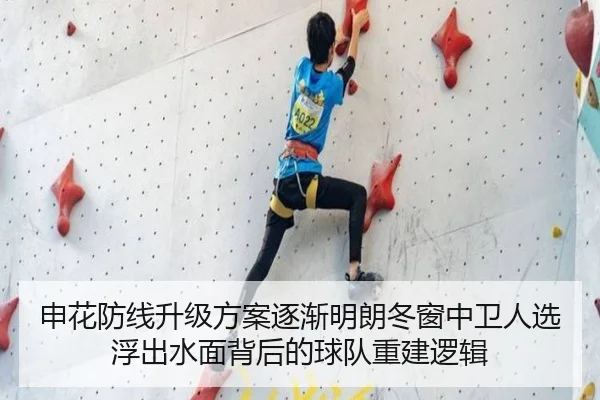 申花防线升级方案逐渐明朗冬窗中卫人选浮出水面背后的球队重建逻辑 | LDSPORTS